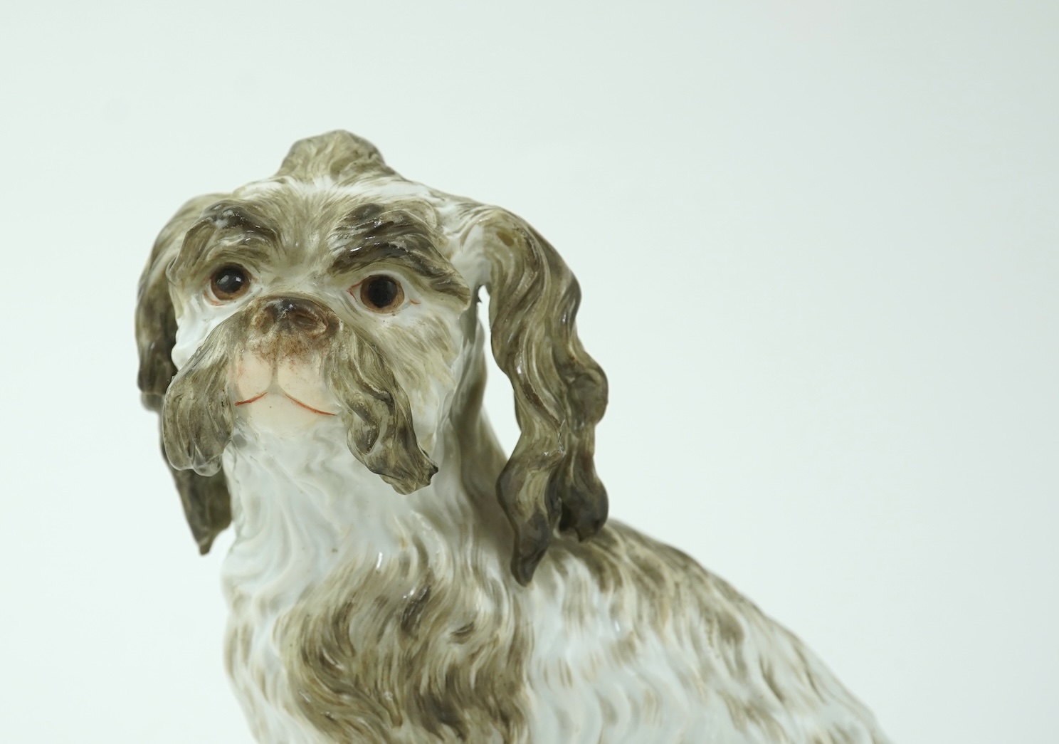 A Meissen figure of a seated Bolognese terrier, 19th century